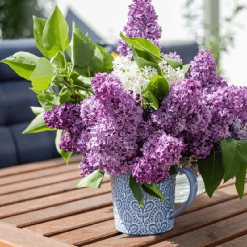 Home Decore